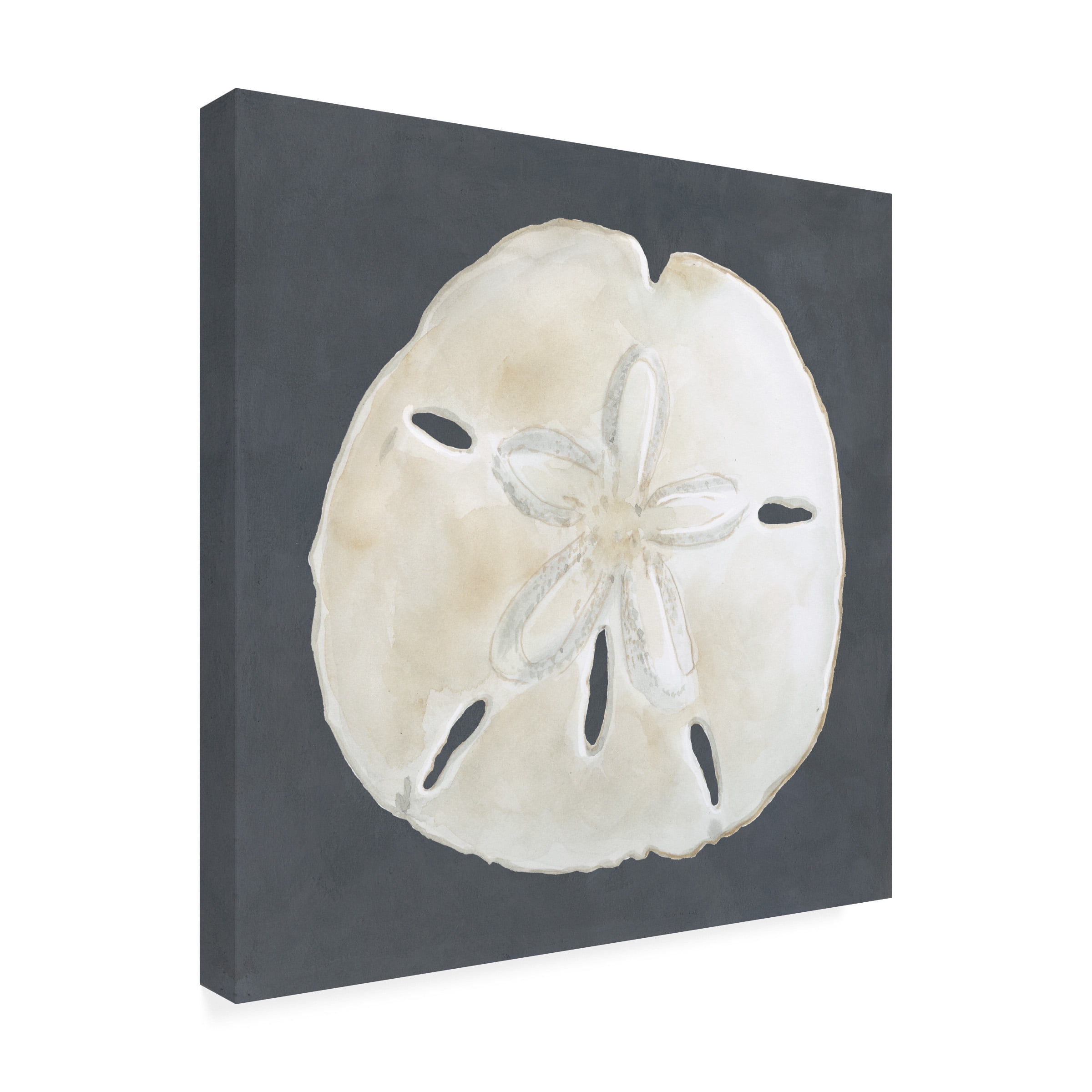 Megan Meagher 'Shell On Slate II' Outdoor Canvas 14x14