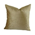 thumbnail image 3 of Plutus Brands Magnetism Double Sided Throw Pillow, 3 of 3