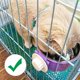thumbnail image 2 of Cuencos de comida para perros y gatos, alimentador de acero inoxidable para mascotas, cuenco colgante 2 en 1, soporte de jaula para mascotas pequeñas, perro, gato, conejo, pájaro (púrpura) Rojo Verde Cocina, Decoración y Otros, 2 of 5