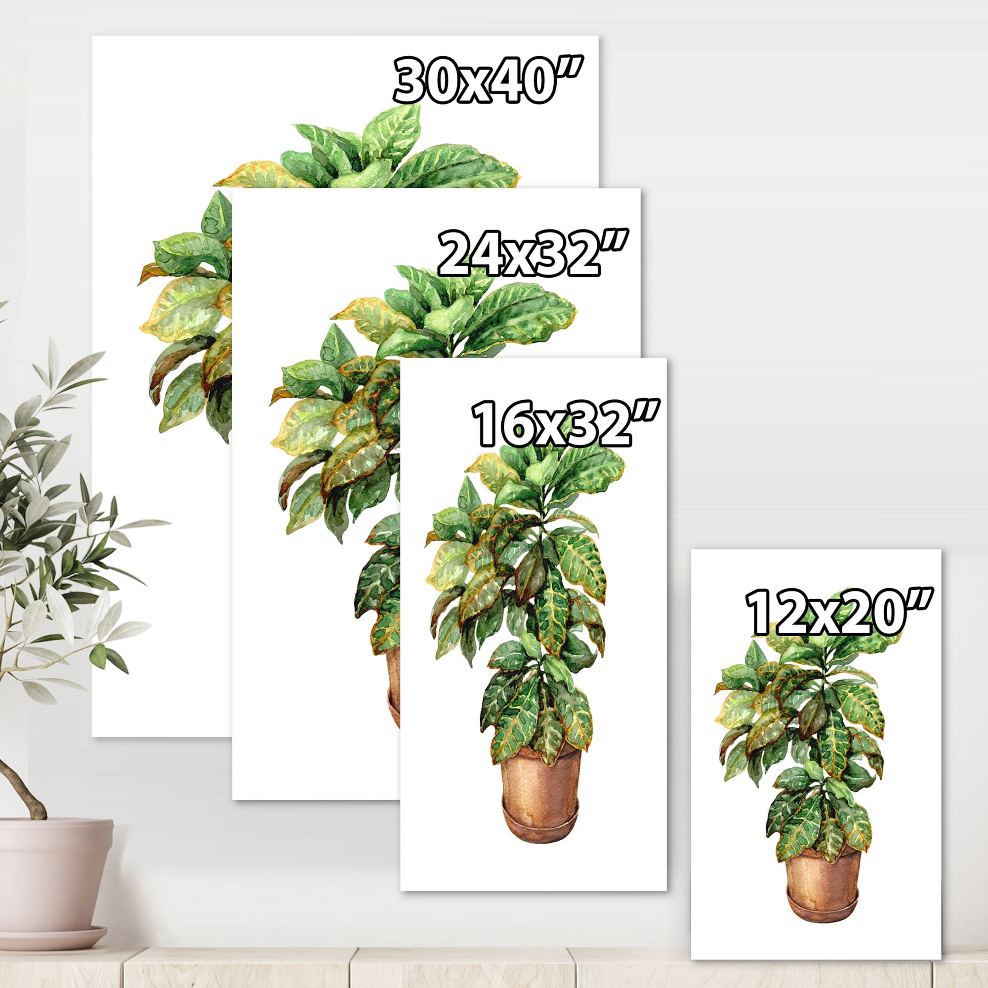 Green Croton In Clay Flowerpot 16 in x 32 in Painting Canvas Art Print, by Designart