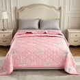 thumbnail image 4 of Deeceymbur Blue Pink Summer Quilt Air Conditioning Lightweight Washable Polyester Quilt Insert Cooling, 4 of 6