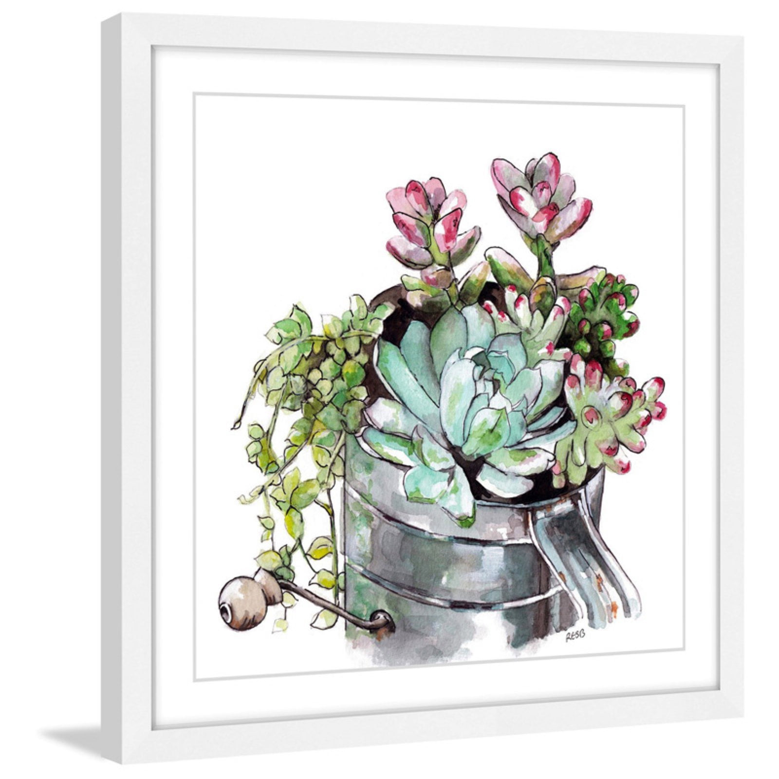 Marmont Hill "Succulents" by Rachel Byler Framed Painting Art Print