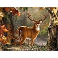 thumbnail image 1 of Cuadros Decorativos Kit de pintura de diamantes 5D, arte de mosaico de diamantes cuadrados completos de animales DIY Sywqhk Nuevos Originales, 1 of 9