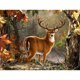thumbnail image 2 of Cuadros Decorativos Kit de pintura de diamantes DIY Animal Full Square Diamond Mosaic Art Tmvgtek embutido en tela, 2 of 9
