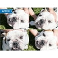 thumbnail image 3 of Squishface Wrinkle Paste - Cleans Wrinkles, Tear Stains and Tail Pockets, Anti-Itch, 2 oz., 3 of 6