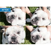 Squishface Wrinkle Paste - Cleans Wrinkles, Tear Stains and Tail Pockets, Anti-Itch, 2 oz.