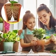 thumbnail image 3 of Fiudx Plastic Flower Pot Mesh Pads - 10 Pack Leak-Proof Bottom Hole Covers for Orchids, Potted Plants, Breathable Root Circulation & Drainage, 3 of 7