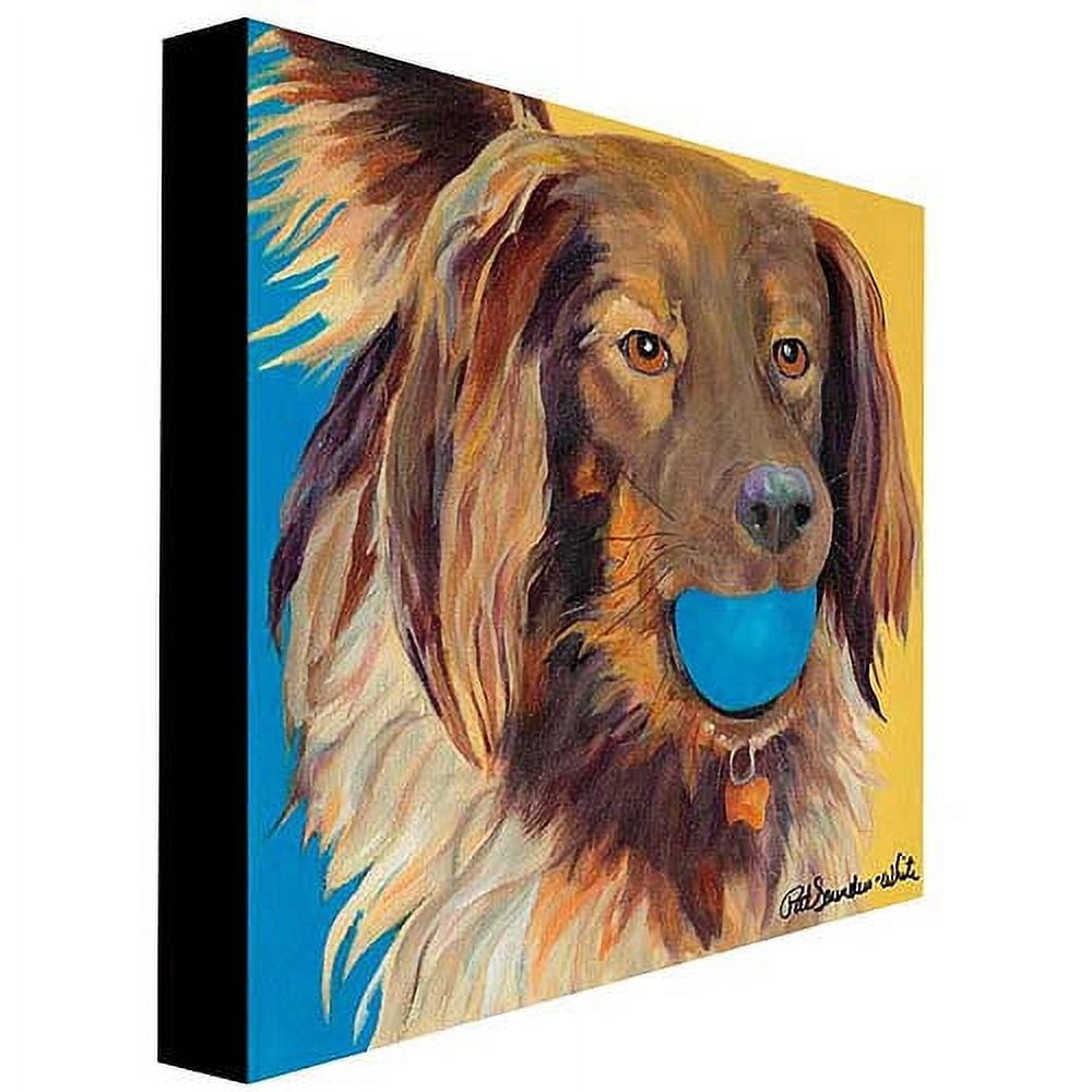 Trademark Art "Caleigh" Canvas Wall Art by Pat Saunders-White