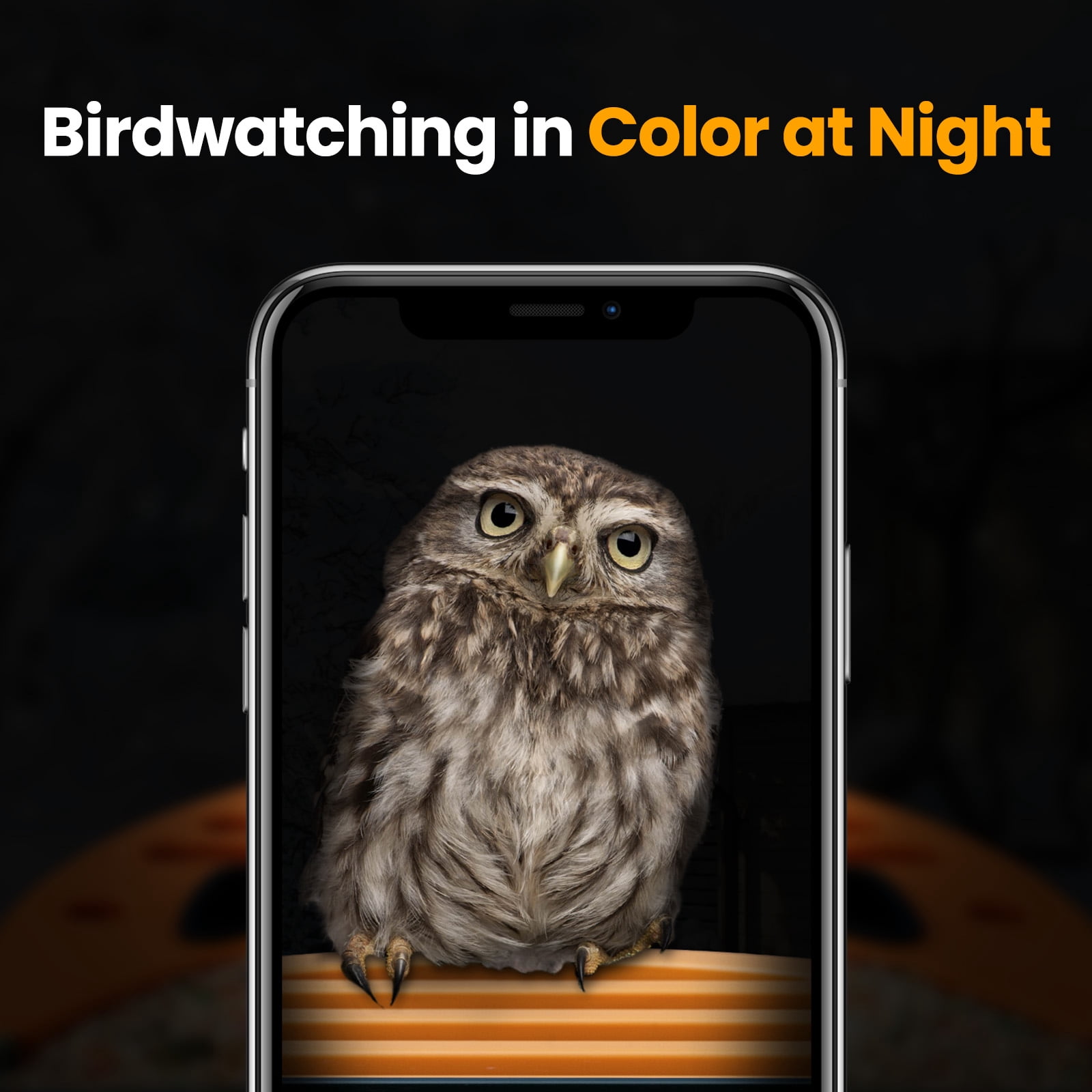 VINGUYS Bird Feeder with Camera and Smart AI Identification, Solar Powered IP66 Waterproof for Outdoor Birding, Green