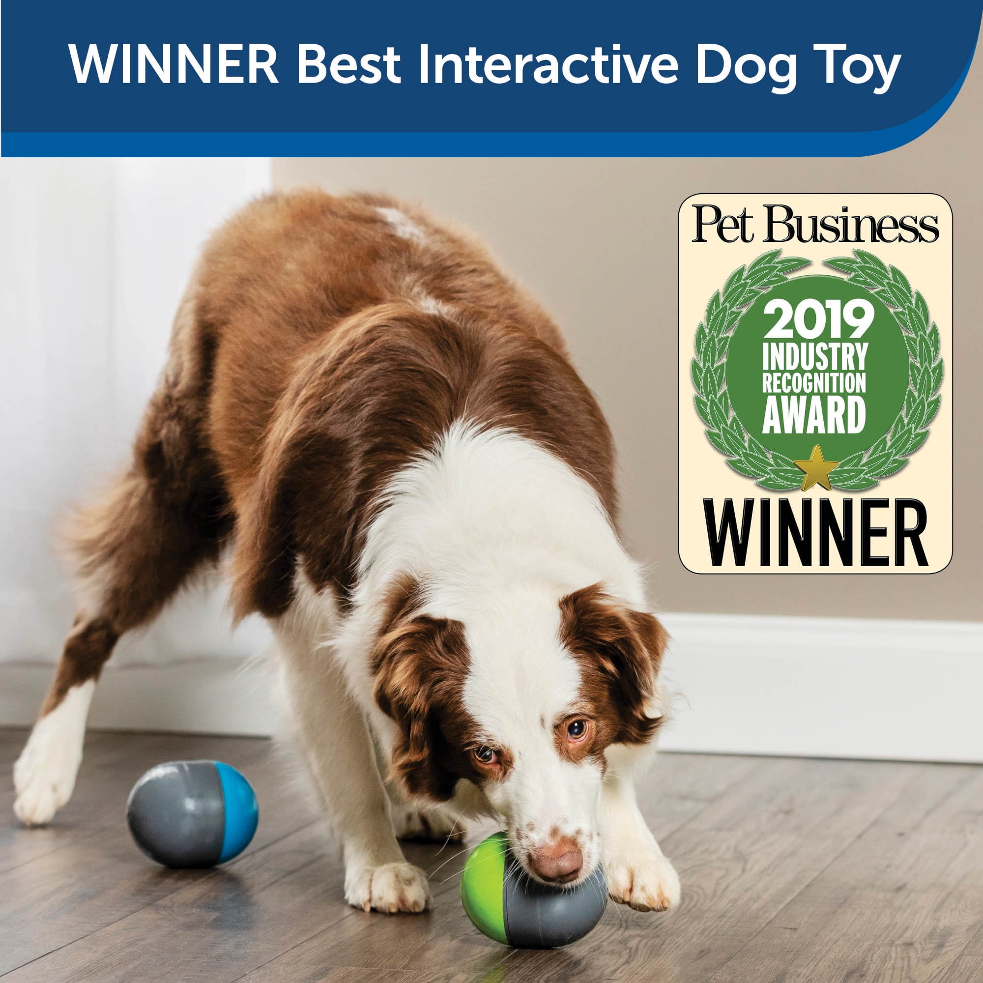 PetSafe Ricochet Electronic Squeak Dog Toys for All Dogs Battery Operated 2 Smart Paired Toys Walmart