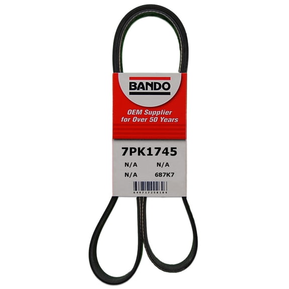 Serpentine Belt