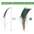 thumbnail image 3 of Plumas de Pavo Real THARAHT 24 piezas, largas y naturales de 40-45 cm para manualidades, 3 of 6