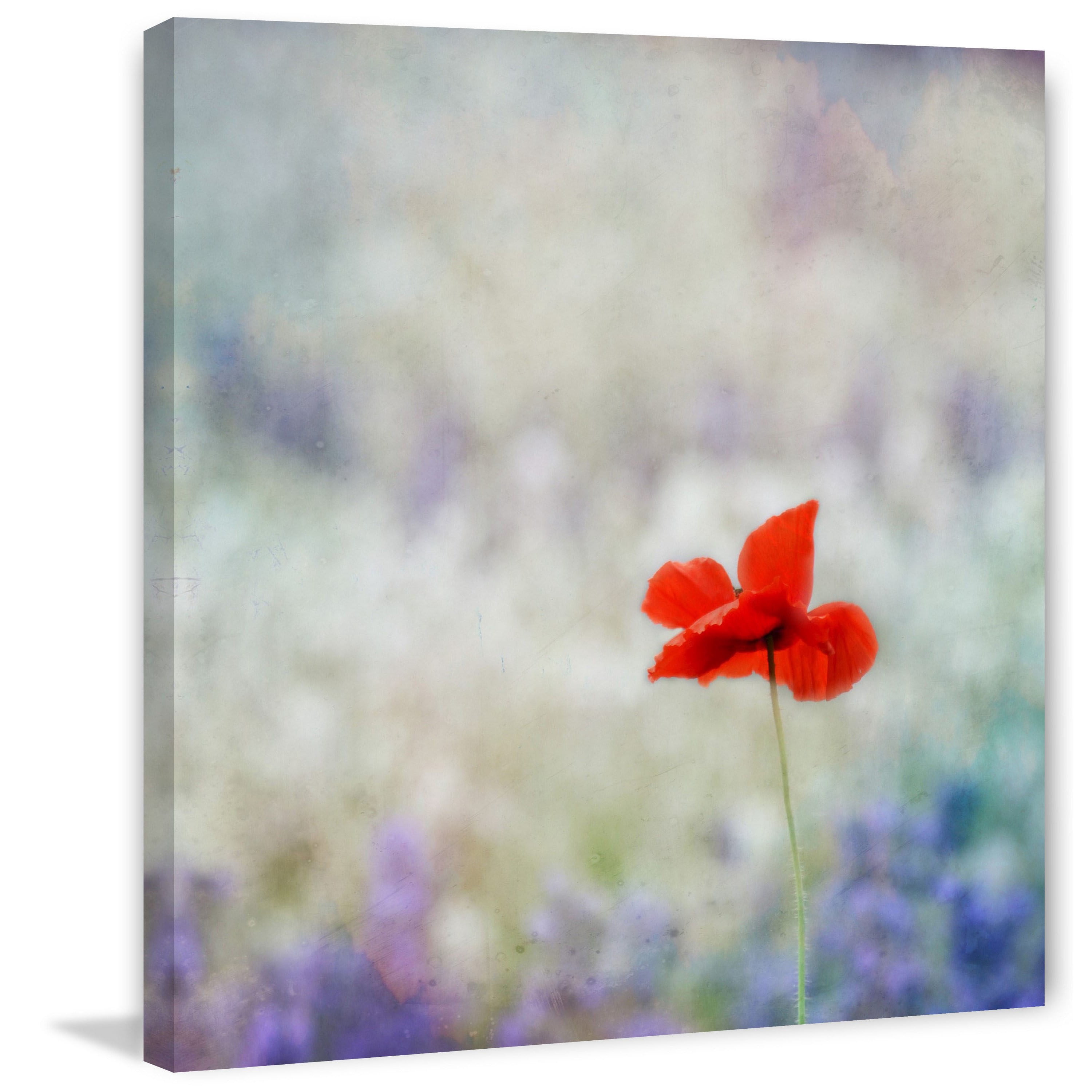 Marmont Hill "Dream On 2" by Robert Dickinson Painting Print on Canvas