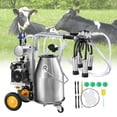thumbnail image 1 of VEVOR Machine à Traire Électrique pour Vache, Seau en Acier Inoxydable 304 de 6,6 Gal / 25 L, Traiteuse sous Vide Automatique à Pulsation, Traiteuse Portative, 1 of 9