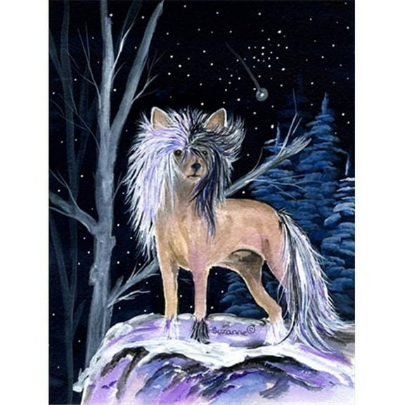 Starry Night Chinese Crested Canvas Flag - House Size, 28 x 40 in.