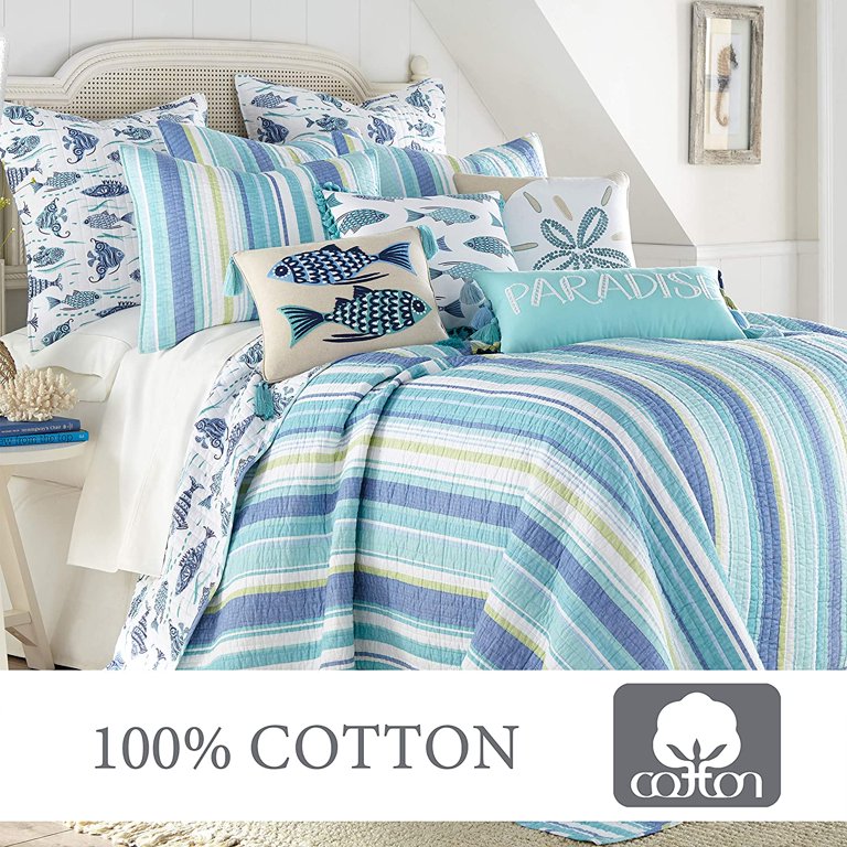 新品 blue herb LITTLETEMPO HOME IS WHERE Buy The Blues Little Bluestem Grass | FREE SHIPPING | WIlson