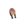thumbnail image 2 of Red Panda, Museum Quality Plastic Animal Toy, Educational, Realistic Hand Painted Figure, Lifelike Model, Figurine, Replica, Gift 3" OK18 B617, 2 of 10
