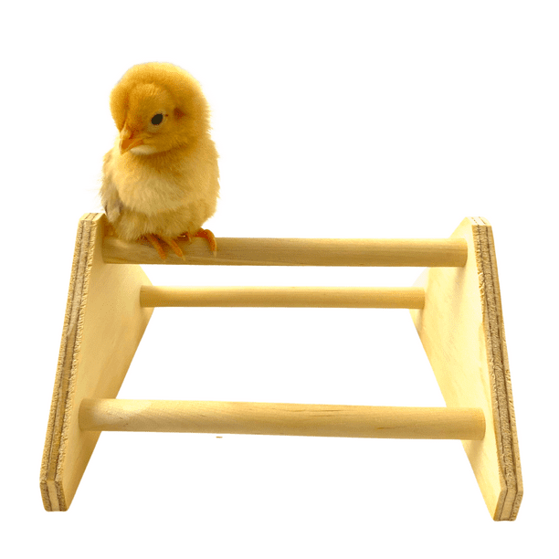 Mini Chick Perch Chick Bird Perch Strong Wooden Jungle Gym Roosting Bar