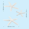 thumbnail image 4 of biOrb White Starfish Set - Small Aquarium Decor, 4 of 10