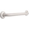 18" Stainless Concealed Mount Grab Bar