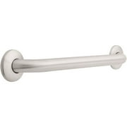 18" Stainless Concealed Mount Grab Bar