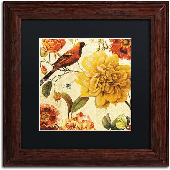 Trademark Fine Art "Rainbow Garden Spice II" Canvas Art by Lisa Audit, Black Matte, Wood Frame