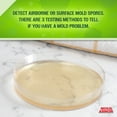 thumbnail image 4 of MOLD ARMOR Do-It-Yourself Mold Detection Test Kit, 4 of 7