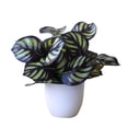 thumbnail image 1 of Artificial Potted Plant Leaf Simulation Leaves Home Office Desktop Greenery Decoration, Plant Type 2, 1 of 1