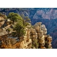 thumbnail image 2 of Collins, Ann 32x24 White Modern Wood Framed Museum Art Print Titled - Arizona-Grand Canyon National Park-Rocks and trees at Grandview Point, 2 of 4