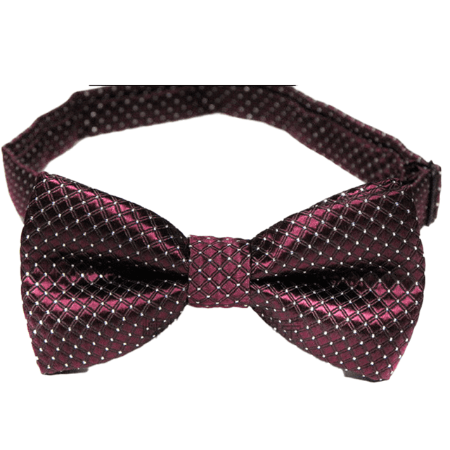 Pajarita para mascotas, collar adorable de lunares de colores con nudo de mariposa, pajaritas ajustables para cachorros