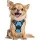 thumbnail image 1 of Rabbitgoo Arnés para Mascotas sin Tirones con 2 Clips para Correa, Acolchado Suave Ajustable, Chaleco Oxford Reflectante para Mascotas sin asfixia con asa de fácil Control para Perros Grandes, Rosa, L, 1 of 4