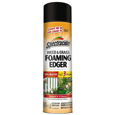 Spectracide Weed & Grass Foaming Edger, Aerosol, (Best Brand Of Weed Killer)