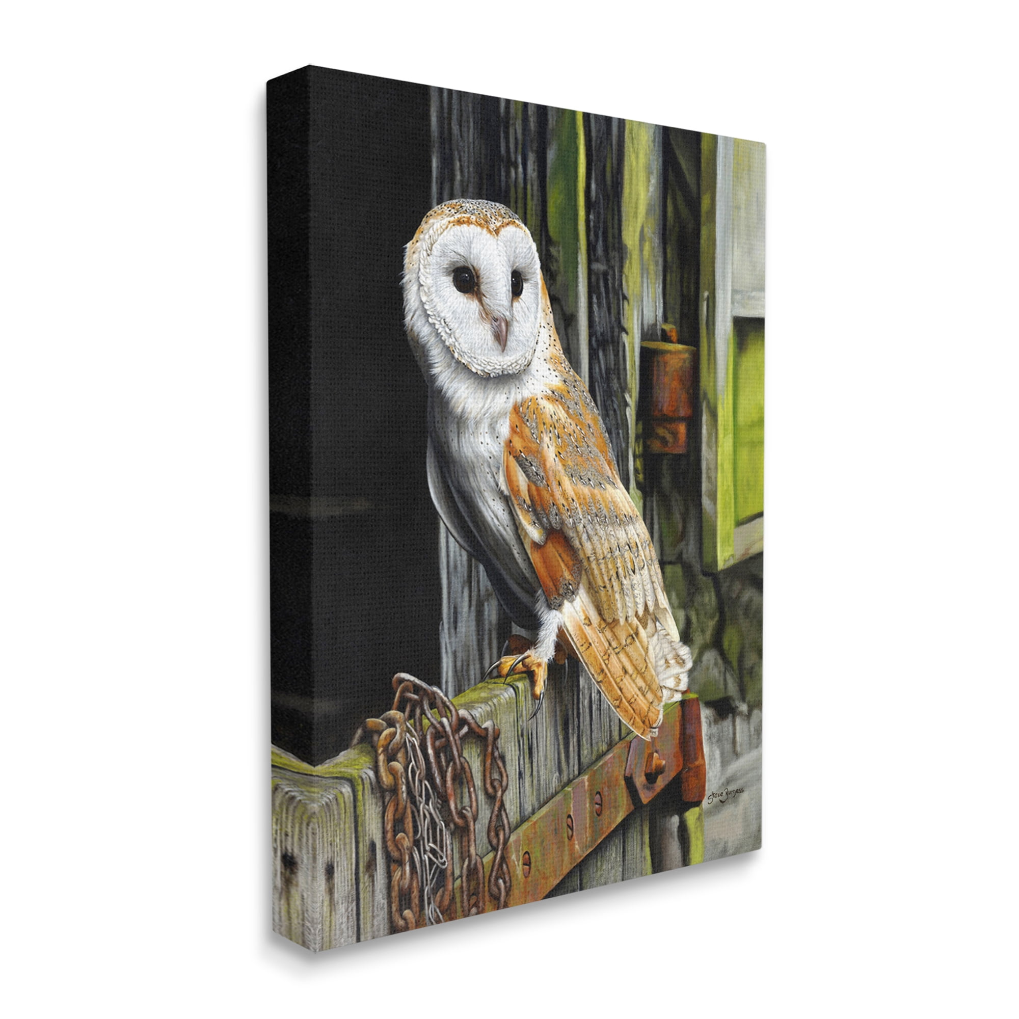 Stupell Industries Owl Perched on Barn Door Animals & Insects Painting Gallery Wrapped Canvas Print Wall Art, 36 x 48