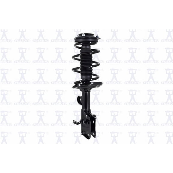 Suspension Strut and Coil Spring Assembly