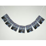 GCKG Ocean Animal Butterfly and Funny Shark Banner Bunting Garland Flag Sign for Home Family Party Decoration