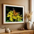 thumbnail image 5 of American Lady Butterfly - Virginia Photography Flowers Nature Floral Botanical Unframed Wall Art Print 24 x 36 inches, 5 of 7