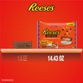 thumbnail image 6 of Reese's Assorted Peanut Butter Snack Size Halloween Candy, Jumbo Bag 14.43 oz, 6 of 8