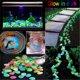 thumbnail image 1 of Xihbxyly Piedras Luminosas para Jardín, Pasarela y Pecera. Absorben La Luz Solar, Luz de Larga Duración, Reutilizables, Decoración Nocturna. Juego de 30 Unidades., 1 of 2