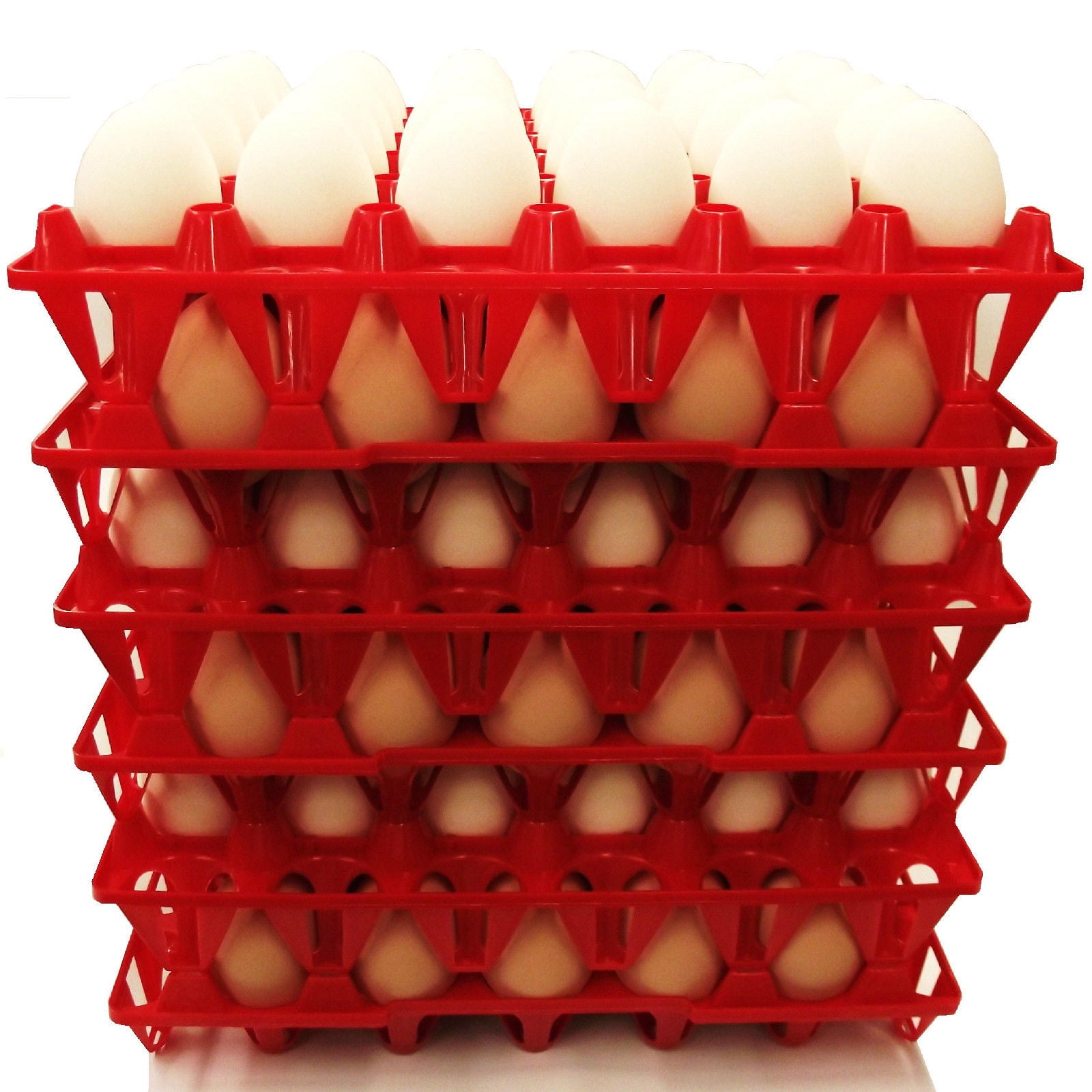 96 RITE FARM PRODUCTS 12 EGG POLY CHICKEN TRAYS SHIPPING CARTON POULTRY FLAT 685349881079 
