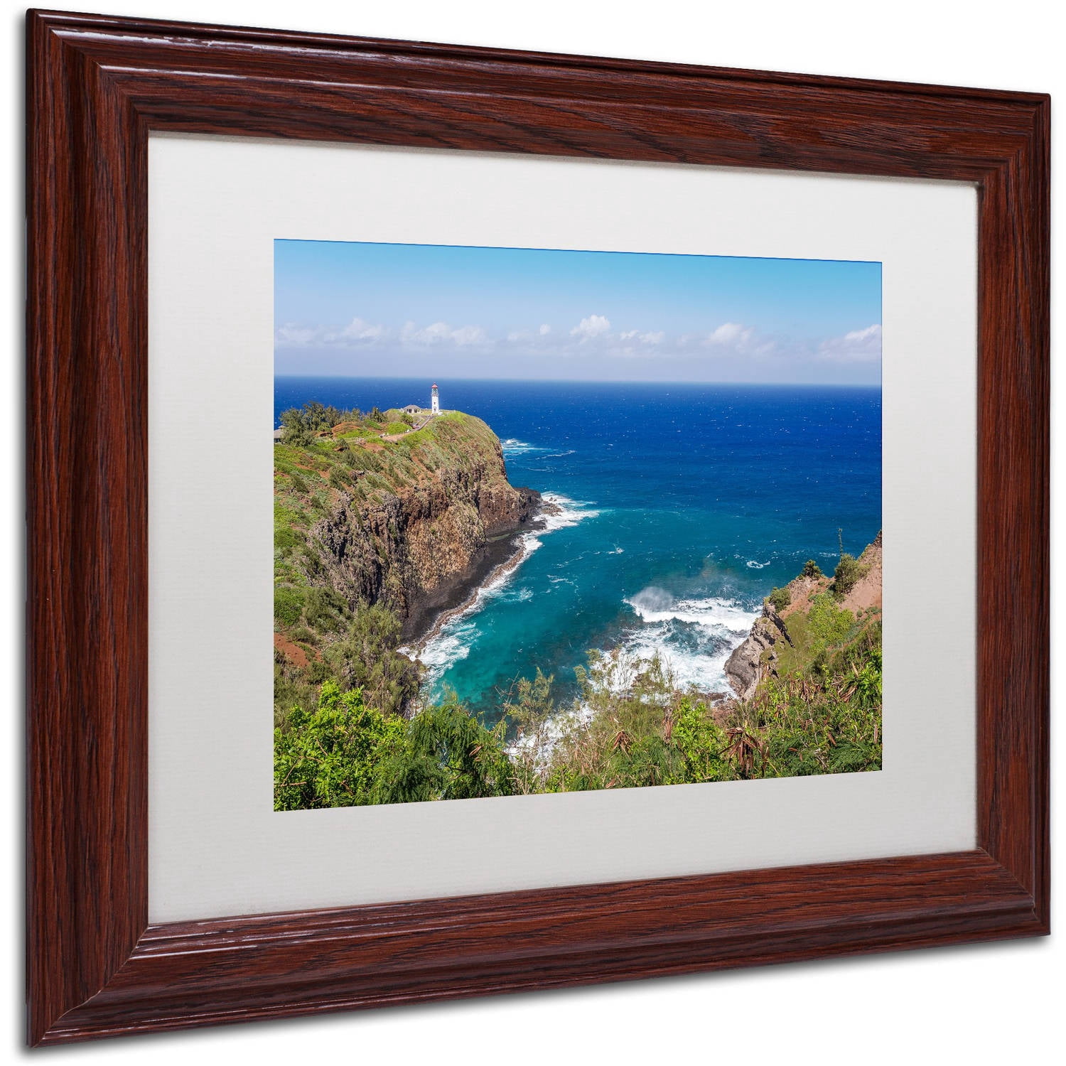 Trademark Fine Art 'Kilauea Lighthouse' Canvas Art by Pierre Leclerc, White Matte, Wood Frame