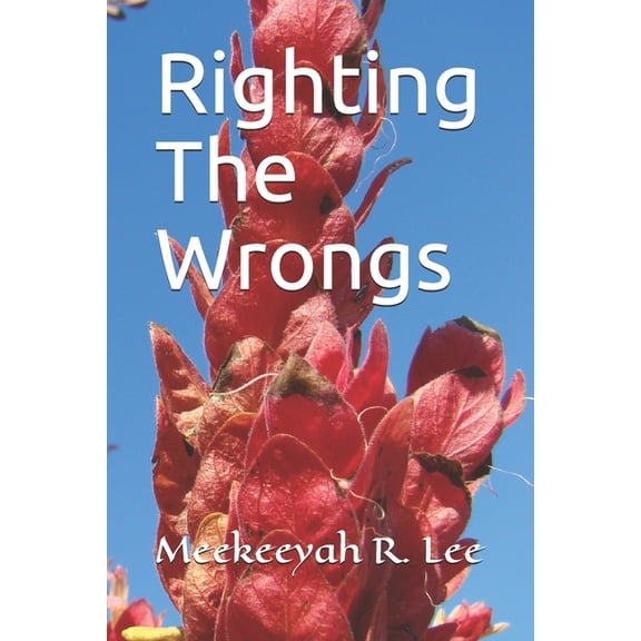 Righting The Wrongs, (Paperback)