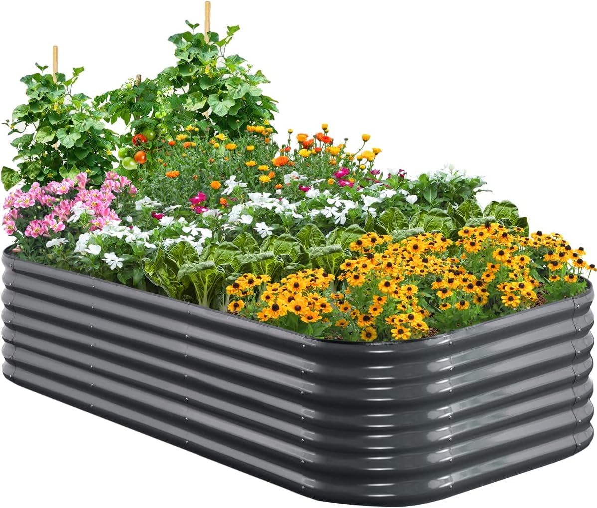 Quictent Galvanized Tall Raised Garden Bed Kit, 8x4x2 ft Oval Large