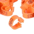 thumbnail image 4 of Bird Clip Ring, Birds Foot Rings Small Size And Lightweight  For  Orange, 4 of 8