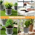 thumbnail image 3 of UPOUART 4Sets Transparent Orchid Pots for Planting with Root Visibility and Proper Water Drainage Features, 3 of 7