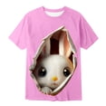 thumbnail image 4 of Boys T Shirts 10-12 , Animal Print Shirts for Boys , Girls Short Sleeve Shirts,Easter Holiday Graphic Tees For Boys Soft Casual Short Sleeve Colorful Kids Tops, 4 of 4