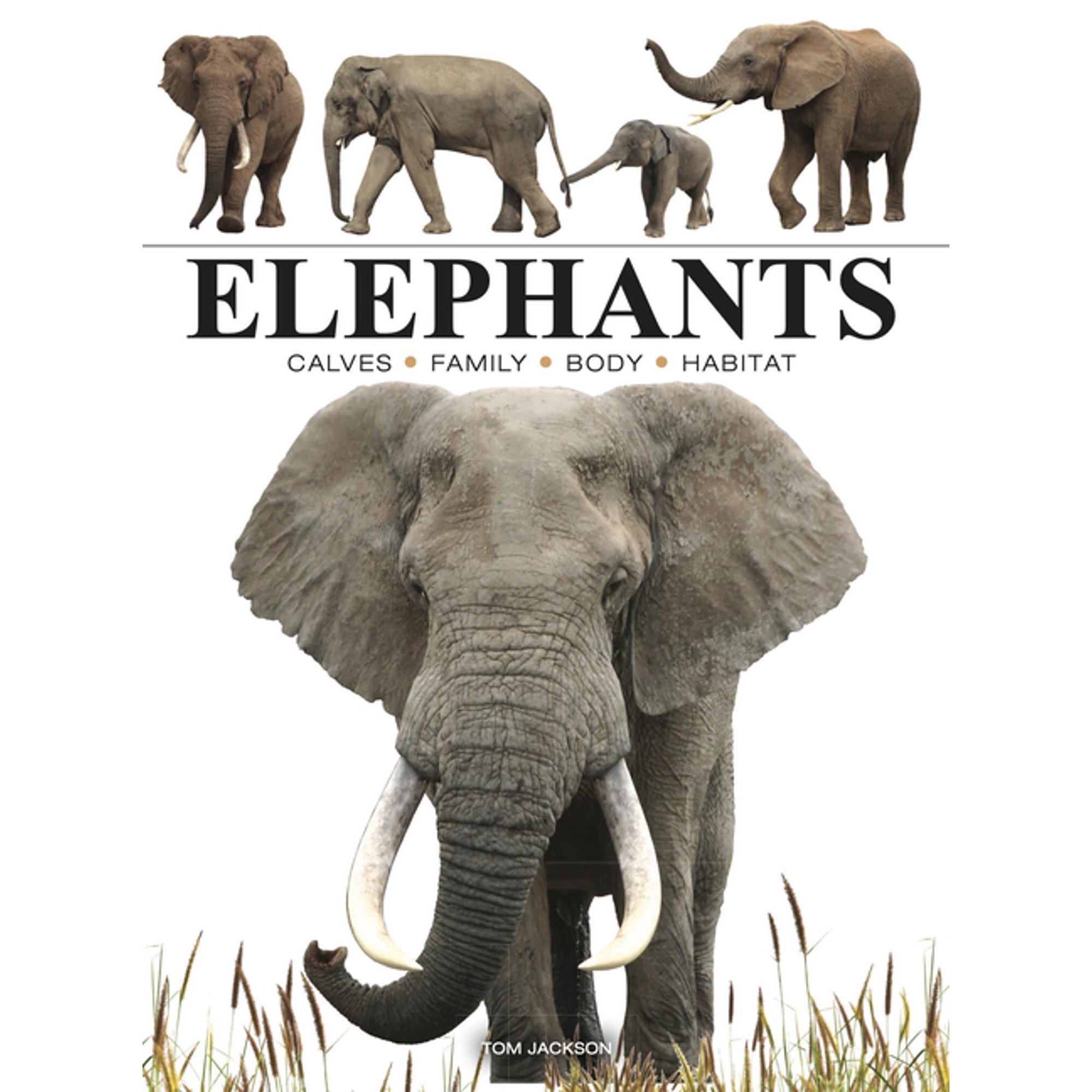 Mini Encyclopedias Elephants, (Paperback)