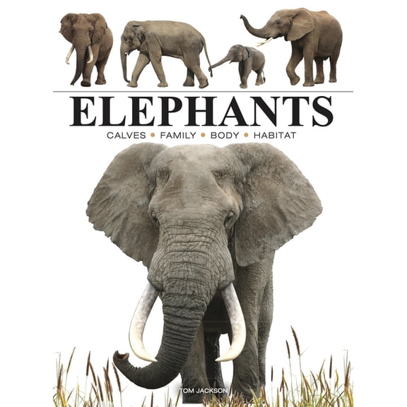 Mini Encyclopedias Elephants, (Paperback)