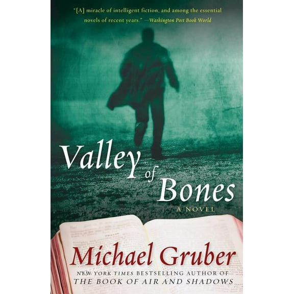 Jimmy Paz Valley of Bones, Book 2, (Paperback)
