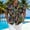 F_ Multicolor, variant on YLSDY Mens Hawaiian Shirts Short Sleeve Funny Shirts Beach Shirts for Men,Button Down Hawaiian Shirt for Men Multicolor XXXXXL