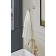 thumbnail image 2 of Amerock Vicinity Traditional Double Prong Golden Champagne Wall Hook, 2 of 9